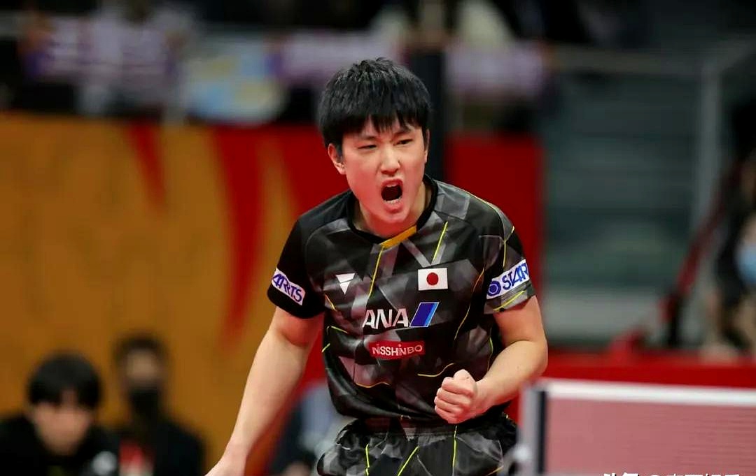 开云官网-德国乒乓球队完胜英国乒乓球队，张本智和制霸全场的简单介绍
